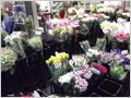 生花市場に並ぶ生花たち